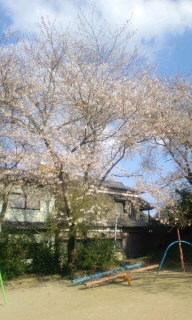 090325_16157E010001.jpg