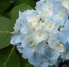 200806251338.jpg