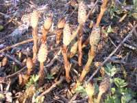 200903091525.jpg