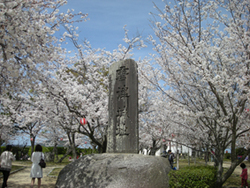 DSCN2123.JPG