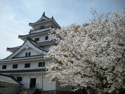 DSCN2126.JPG